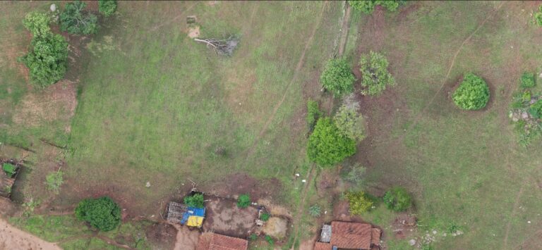 उदंती-सीतानदी वनक्षेत्र में 70 हेक्टेयर पर कब्जा फिर चलेगा बेदखली अभियान, 0 21 हजार से ज्यादा पेड़ों की कटाई