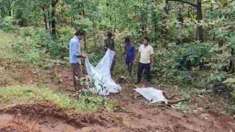 छत्तीसगढ़ में हाथियों का आतंक : ग्रामीण को फिर उतारा मौत के घाट, महीनेभर पहले 4 लोगों की ली थी जान