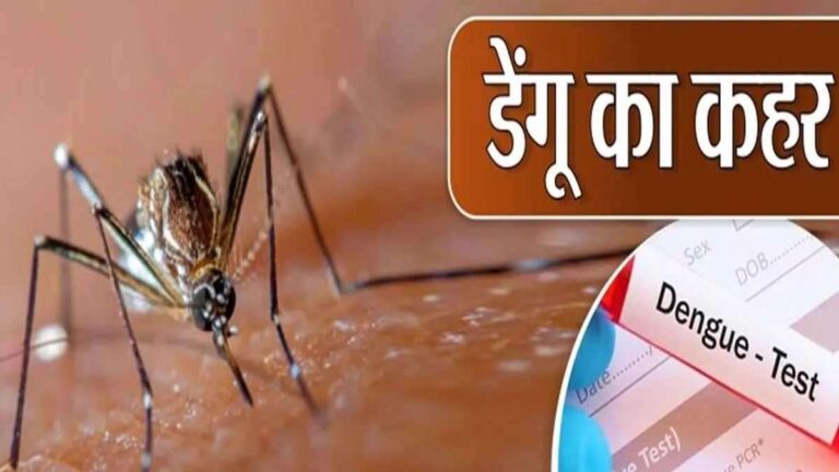 राजधानी में तेजी से पैर पसार रहा डेंगू: 24 घंटे में सामने आए इतने मरीज, स्वास्थ्य विभाग अलर्ट